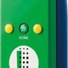 Wii Remote Luigi